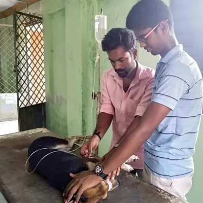 Agni Siragugal - Animal Wellfare